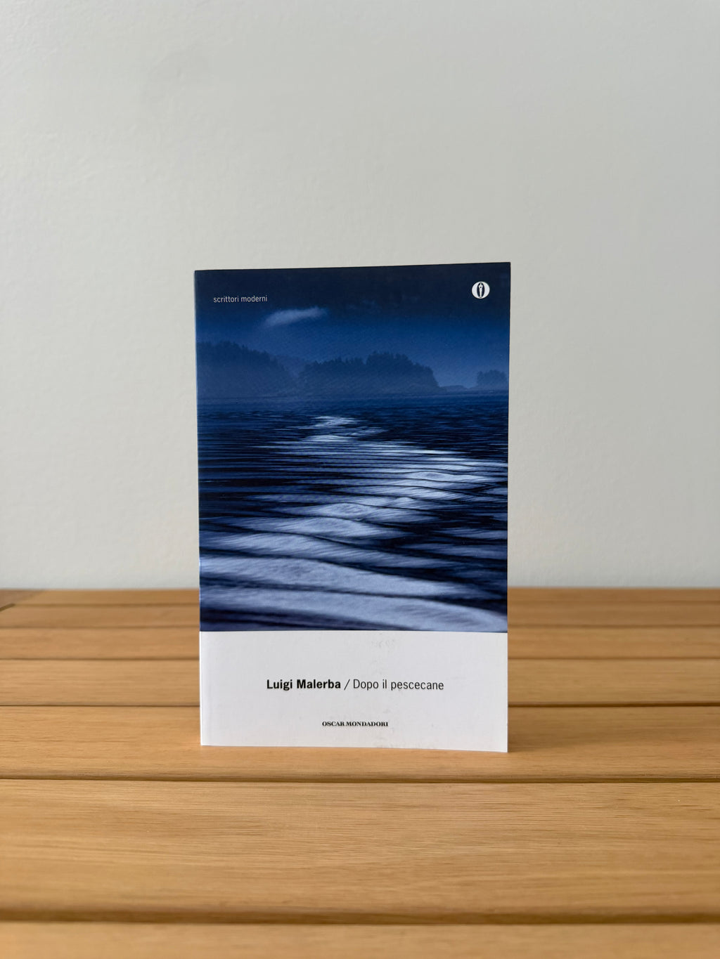 Dopo il pescecane - Luigi Malerba