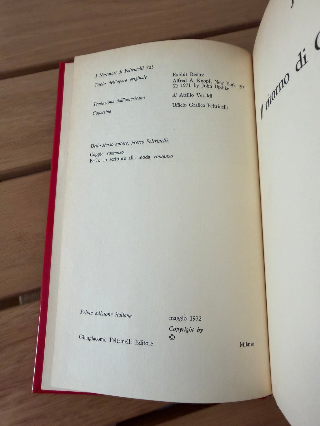 Il ritorno di coniglio - John Updike