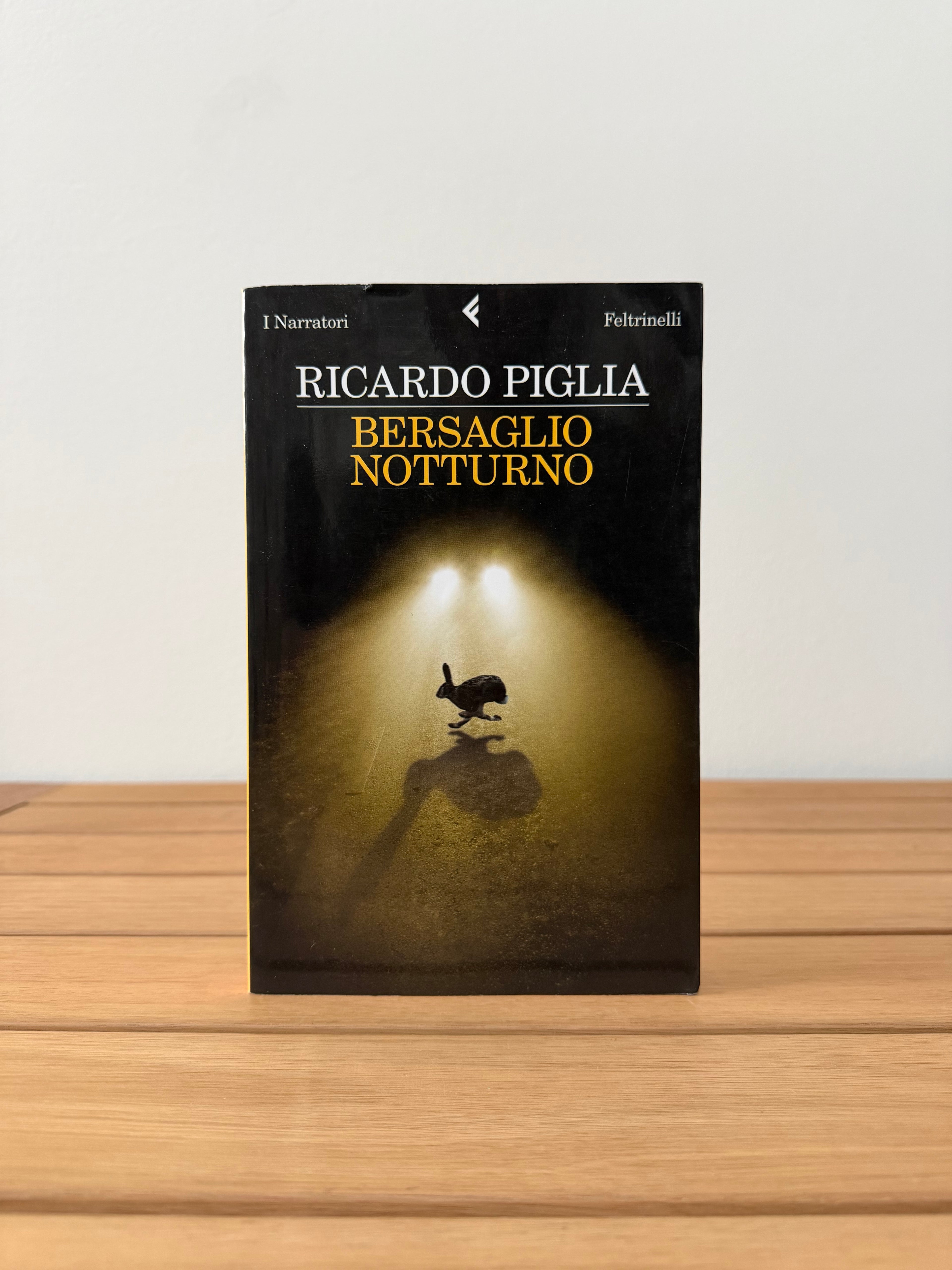 Bersaglio notturno - Riccardo Piglia