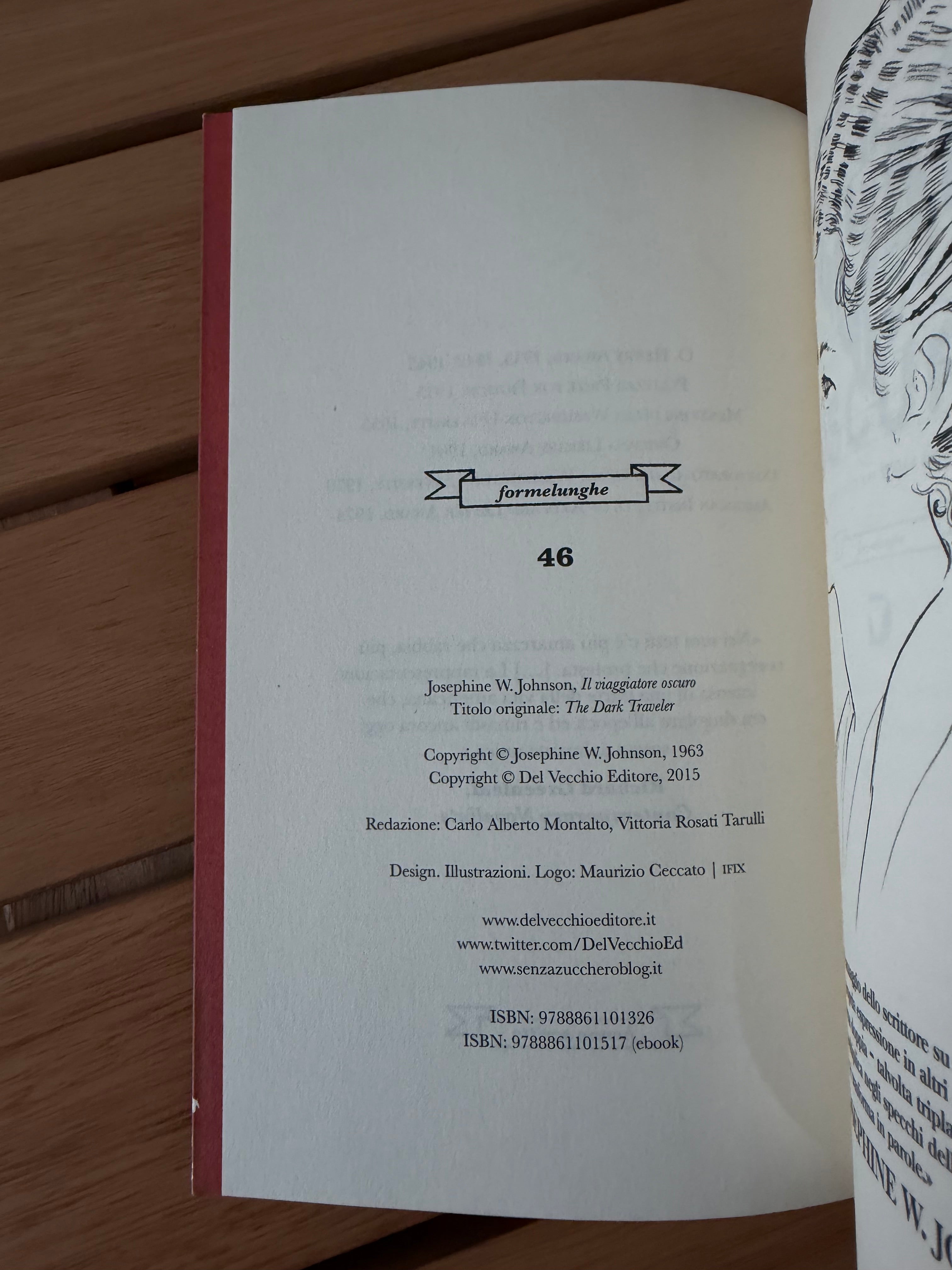 Il viaggiatore oscuro - Josephine W. Johnson