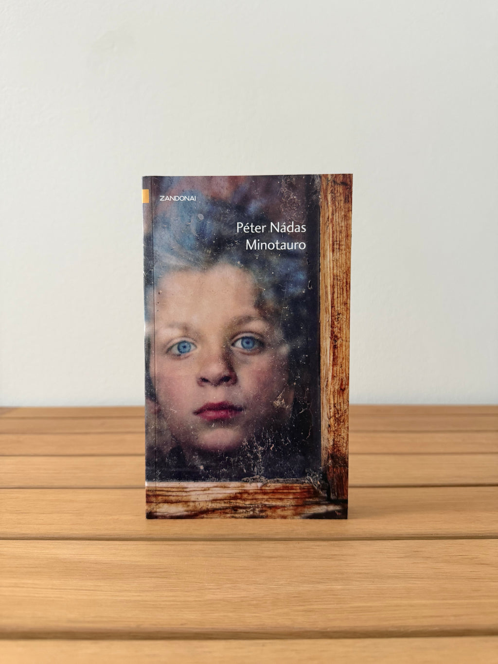 Minotauro - Péter Nádas