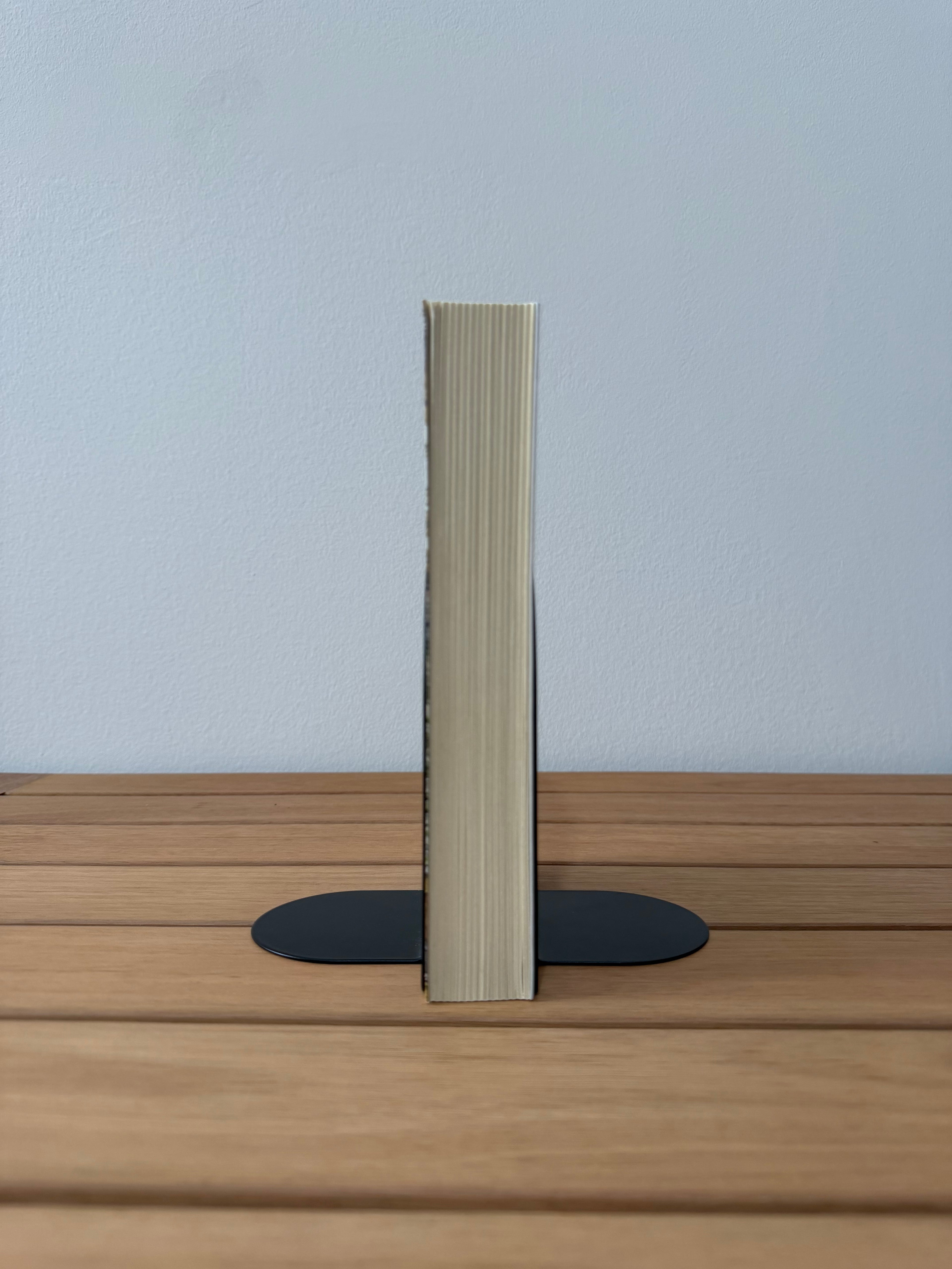 La camicia di ghiaccio - William T. Vollmann