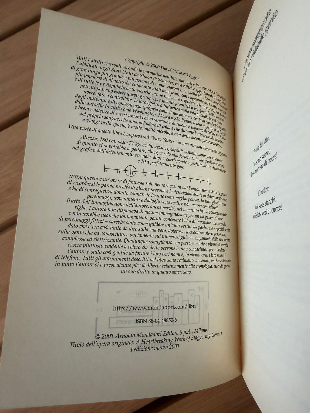 L'opera struggente di un formidabile genio - Dave Eggers