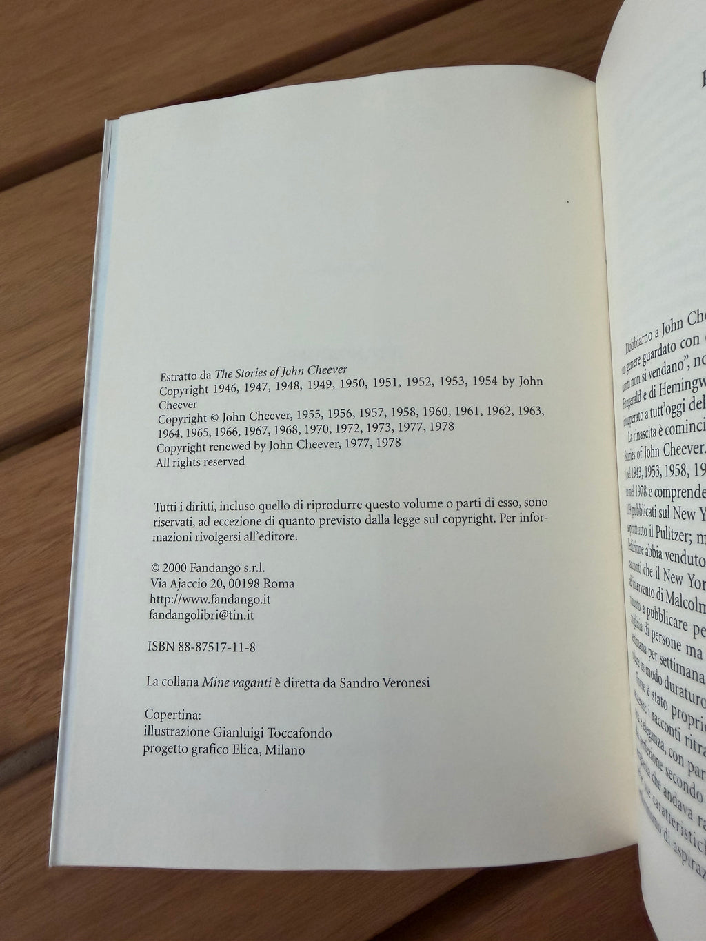 Il nuotatore - John Cheever