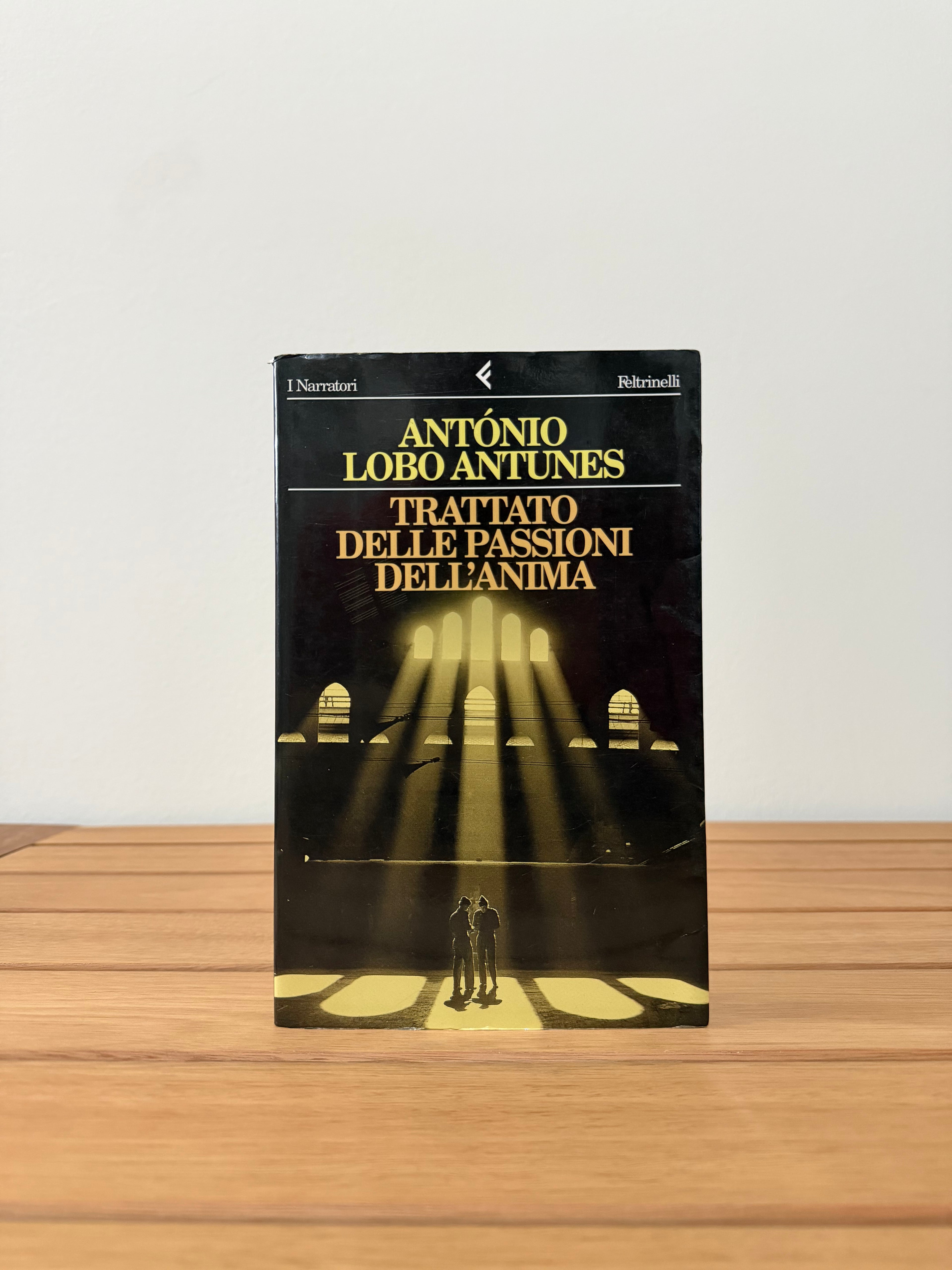 Trattato delle passioni dell'anima - António Lobo Antunes