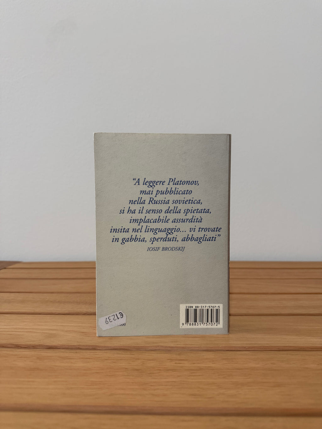 Lo sterro - Andrej Platonov