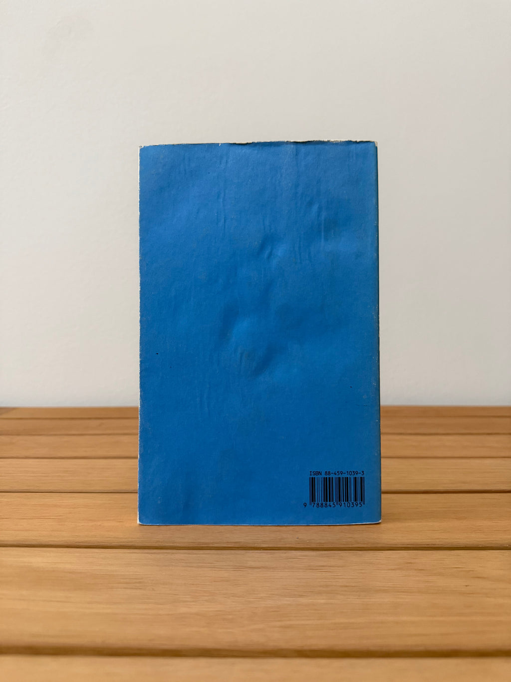 Un bambino - Thomas Bernhard