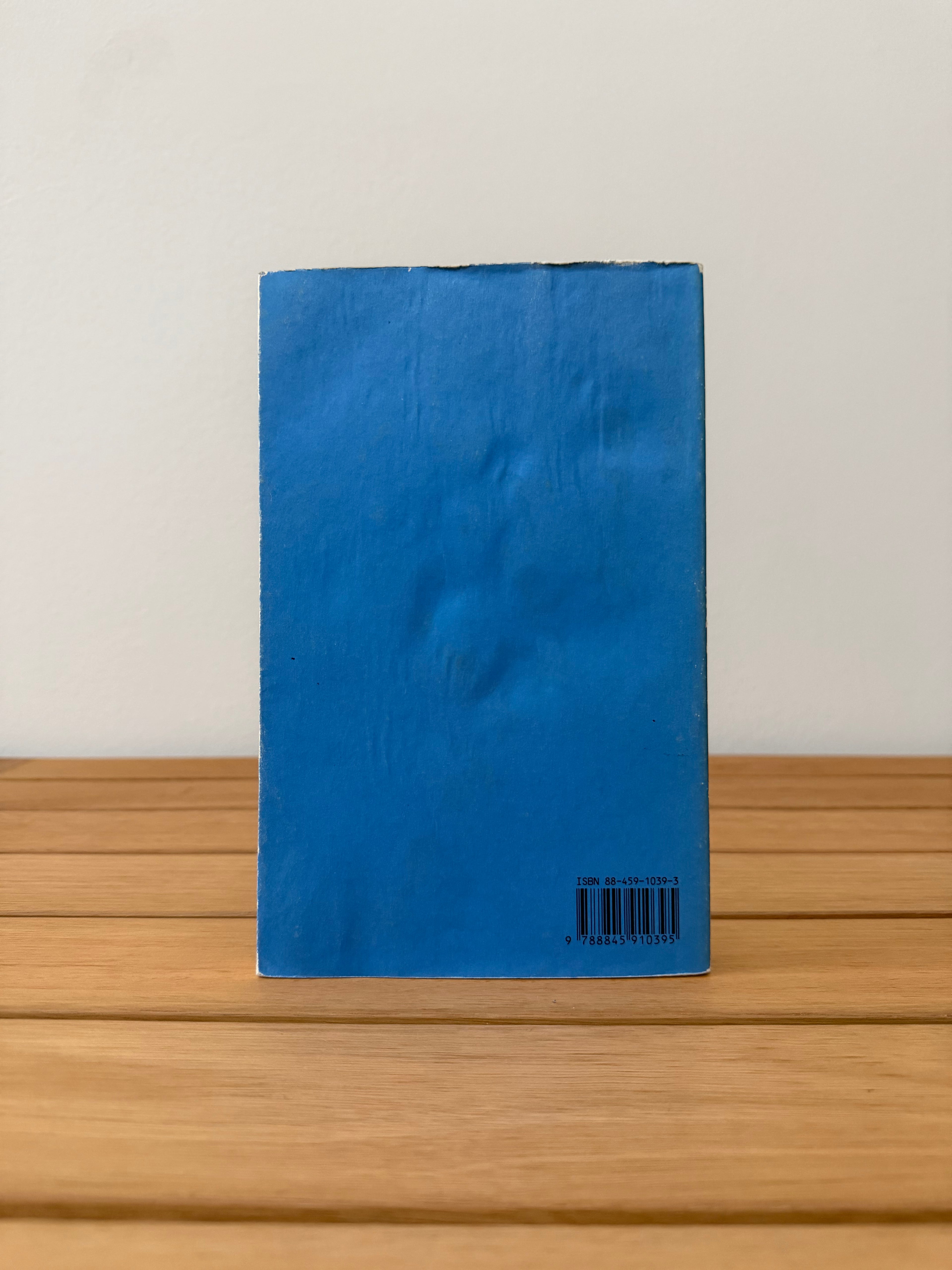 Un bambino - Thomas Bernhard