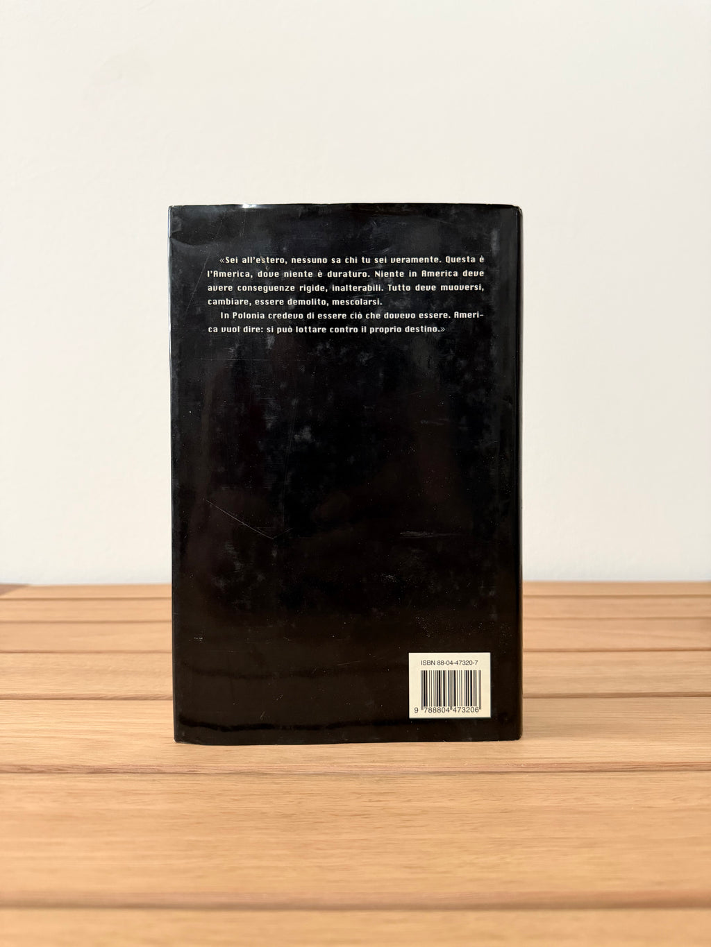 In America - Susan Sontag