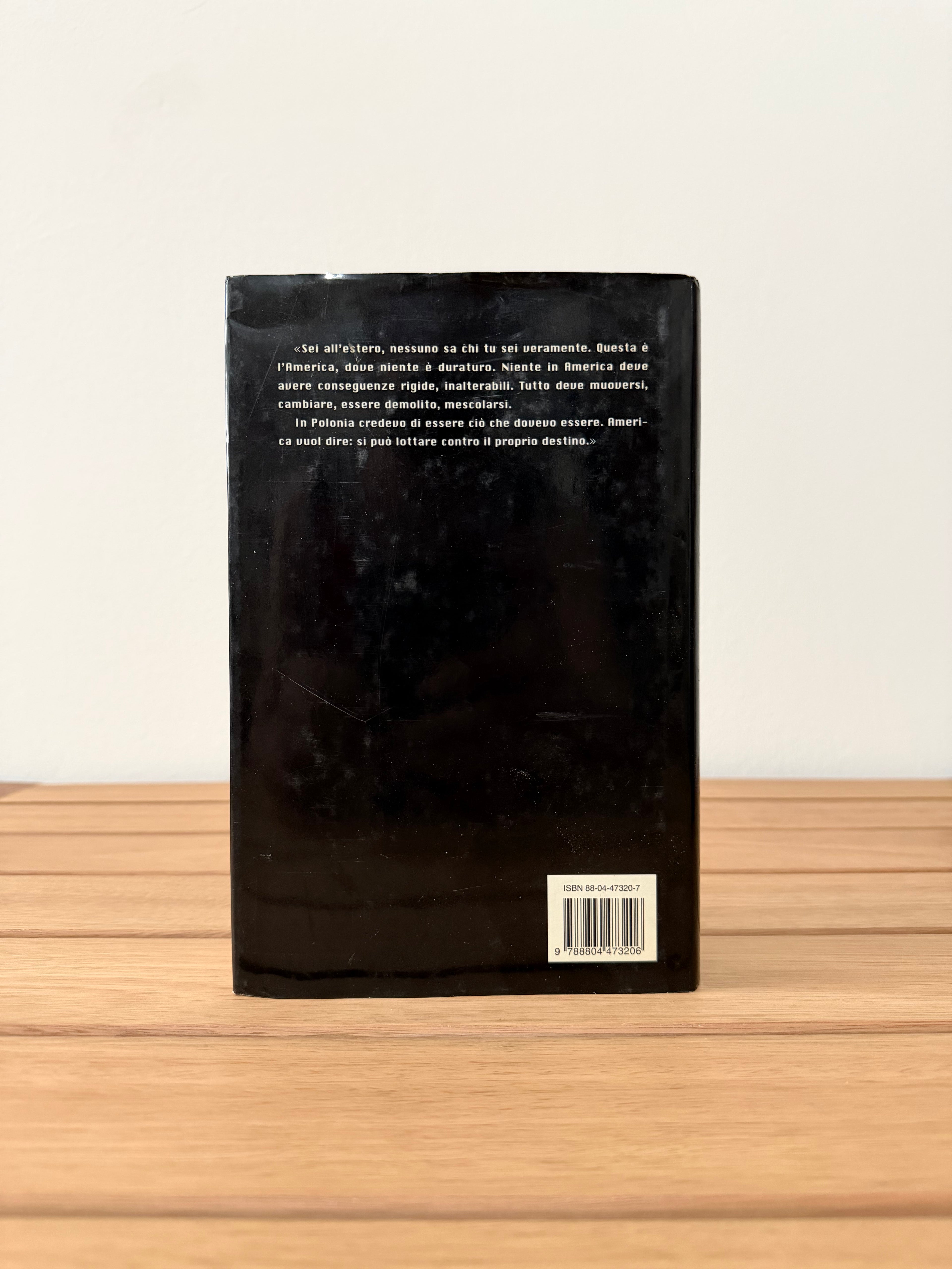 In America - Susan Sontag
