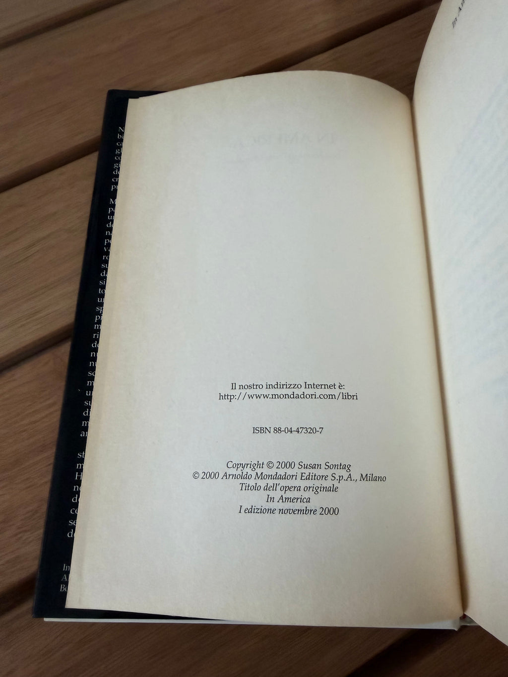 In America - Susan Sontag