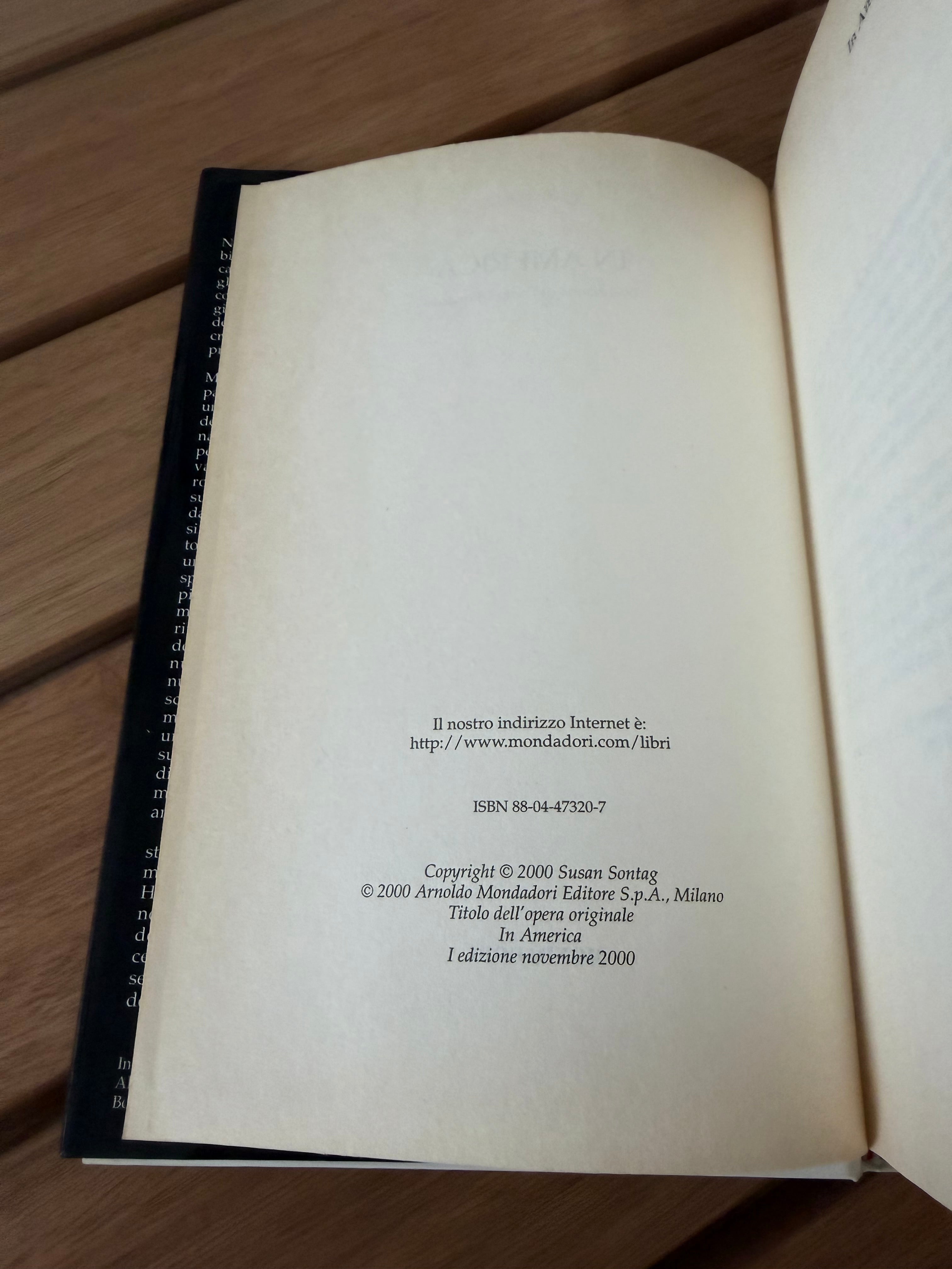 In America - Susan Sontag