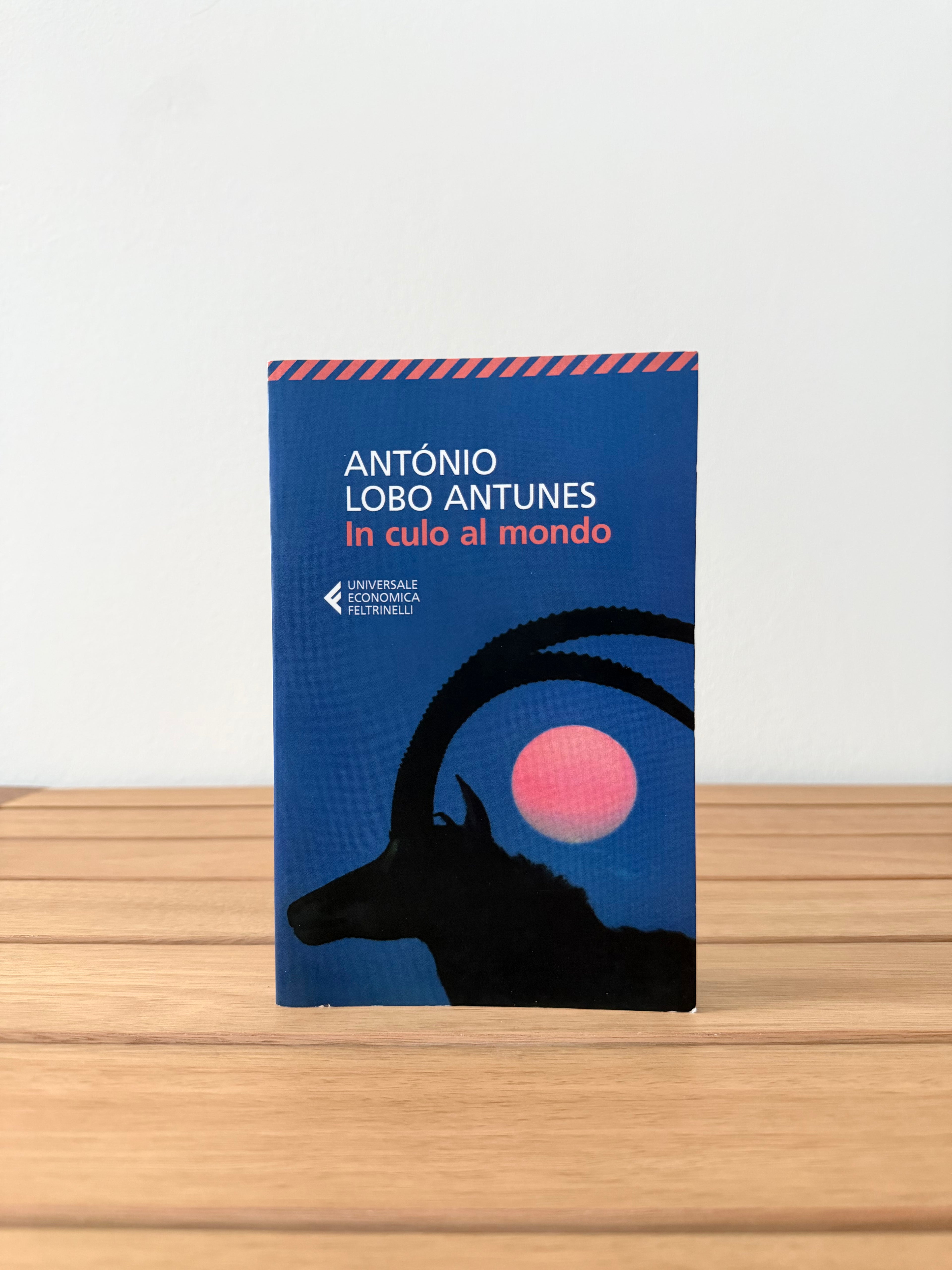In culo al mondo - António Lobo Antunes