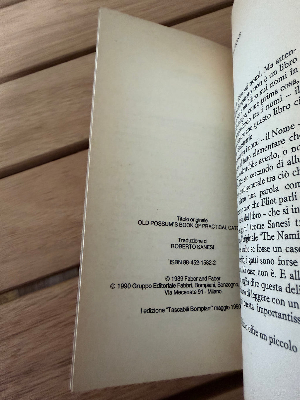Il libro dei gatti tuttofare - T. S. Eliot