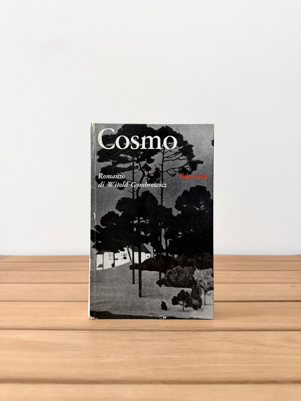 Cosmo - Witold Gombrowicz