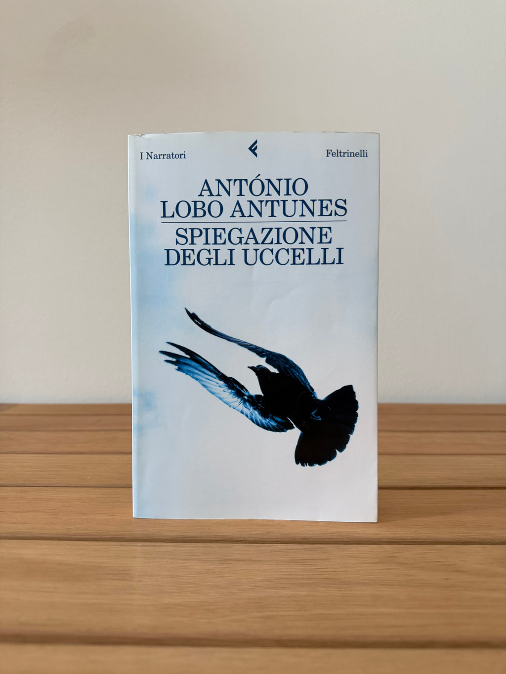 Spiegazione degli uccelli - António Lobo Antunes