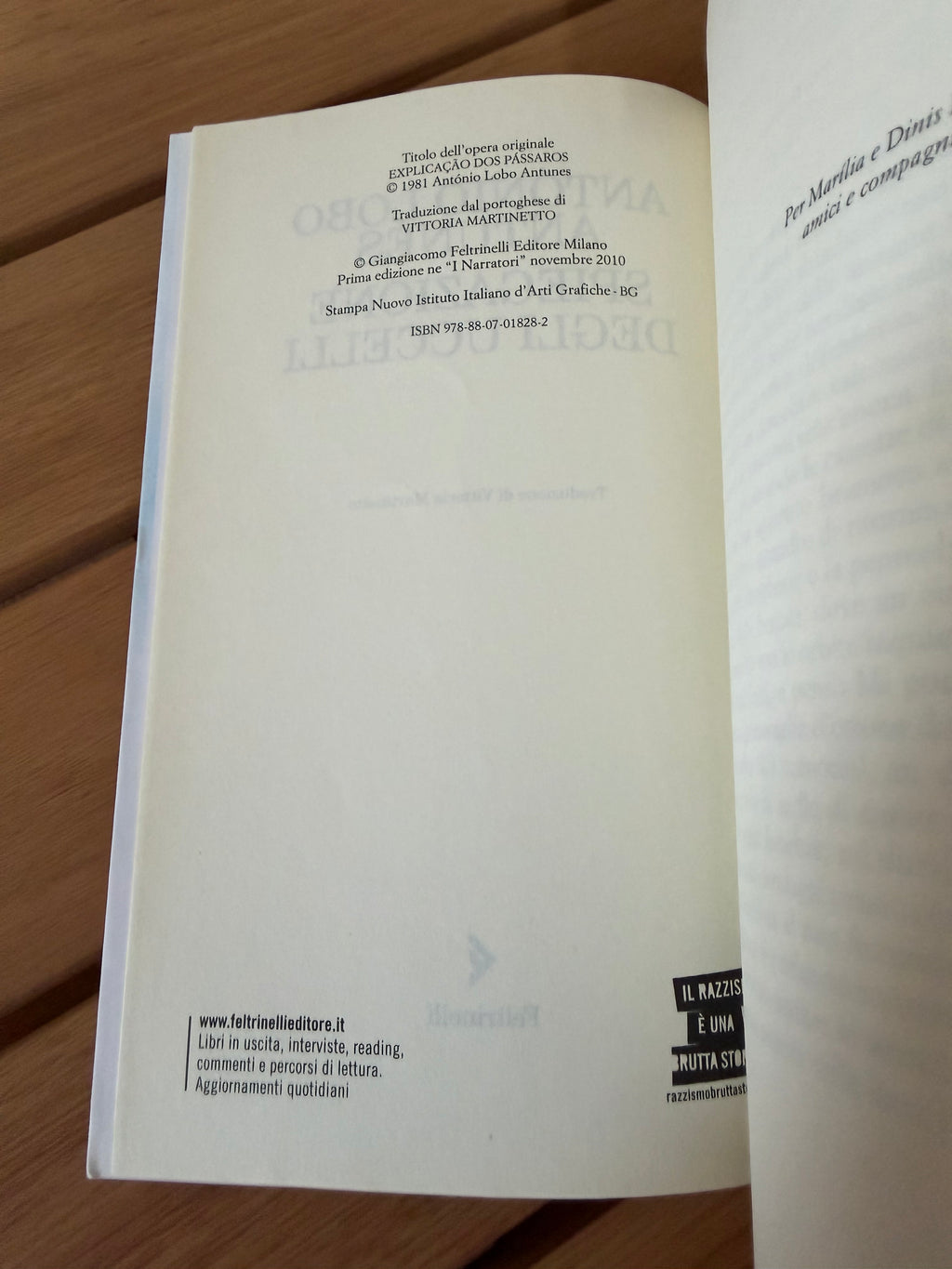 Spiegazione degli uccelli - António Lobo Antunes
